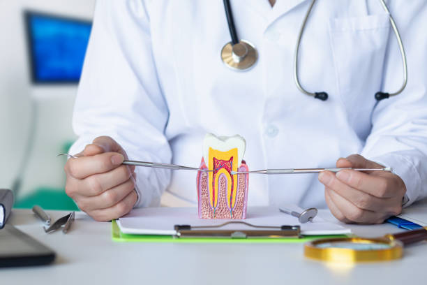 Best Emergency Dental Care for Abscessed Tooth in Western Lake, TX